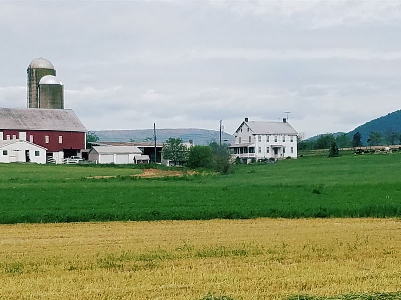 Unique Farm Opportunity : Saint Thomas : Franklin County : Pennsylvania
