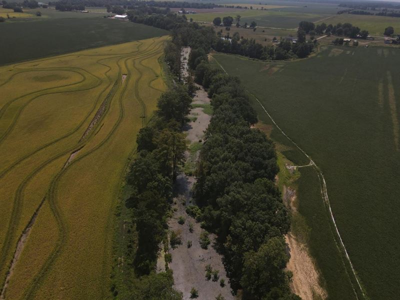 Prarie Co 58 : Des Arc : Prairie County : Arkansas