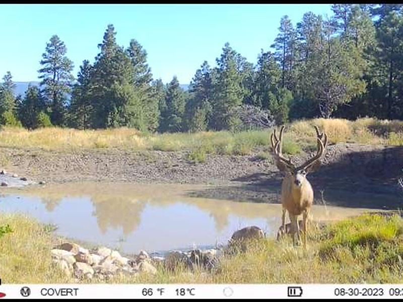 TA 335 Hunting Ranch : Tierra Amarilla : Rio Arriba County : New Mexico