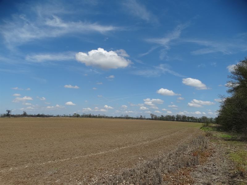 Ag Tract 90 Acres Rice Land, Farm for Sale in Arkansas, 188917 FARMFLIP