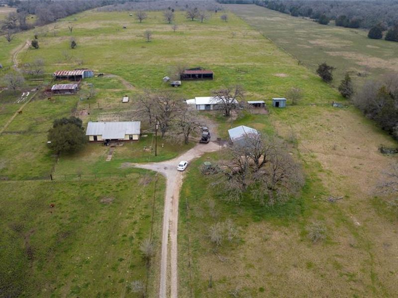 54 Farming Homestead Farm for Sale in Madisonville, Madison County
