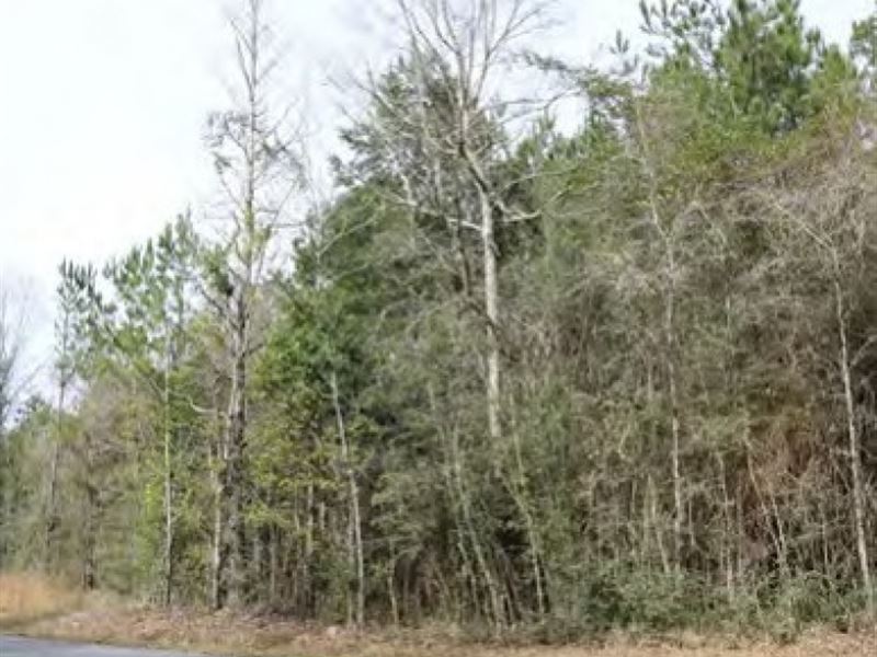 11.5 Acres in George County in Luce : Lucedale : George County : Mississippi