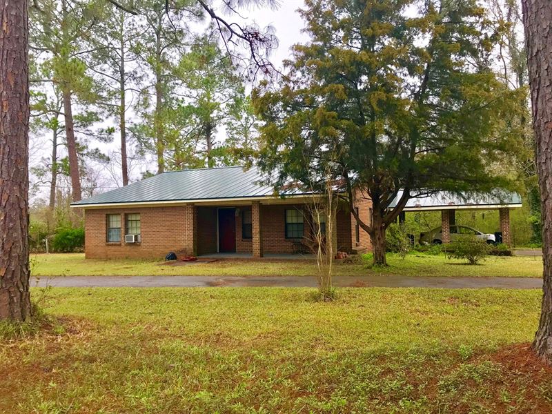 Country Home Land Samson, Alabama Farm for Sale in Samson, Geneva