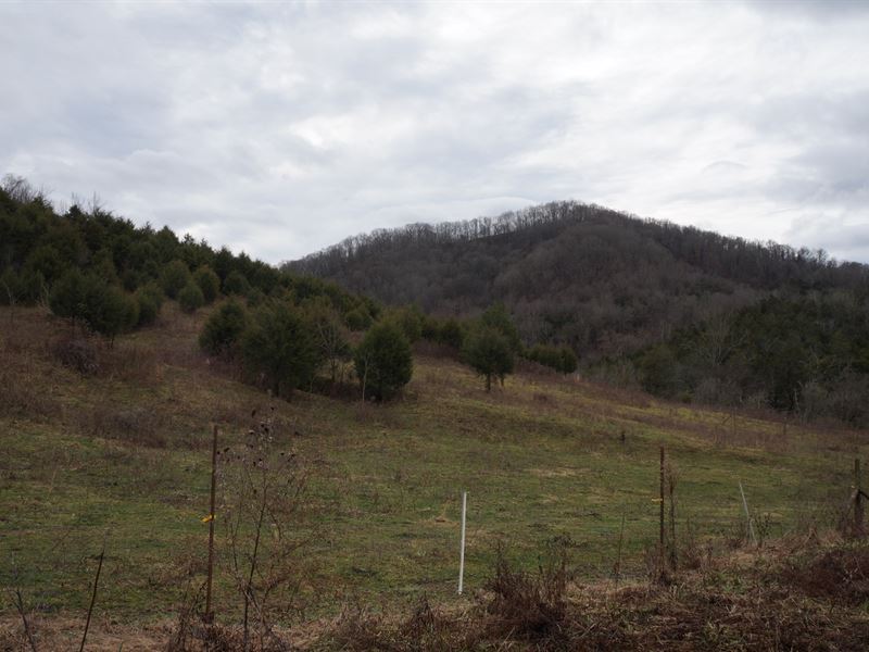 Farm East Tn, Tazewell Tenn, Farm for Sale in Tennessee, 189147 FARMFLIP