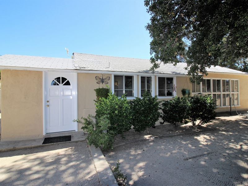 Private 40 Acre Pine Valley Retreat : Pine Valley : San Diego County : California