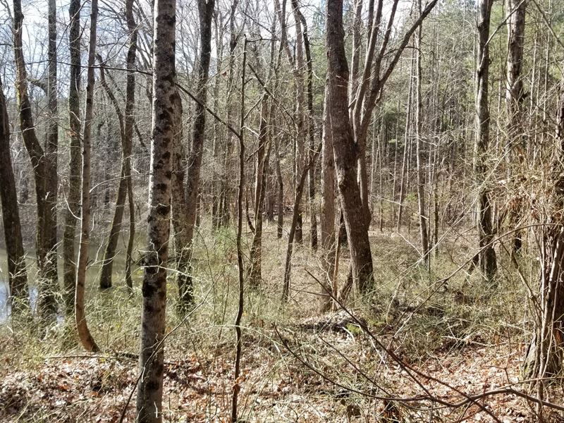 52+/- Acres Owner Financing Level : Sweetwater : McMinn County : Tennessee