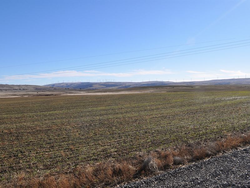 Land for Sale in Goldendale WA : Goldendale : Klickitat County : Washington
