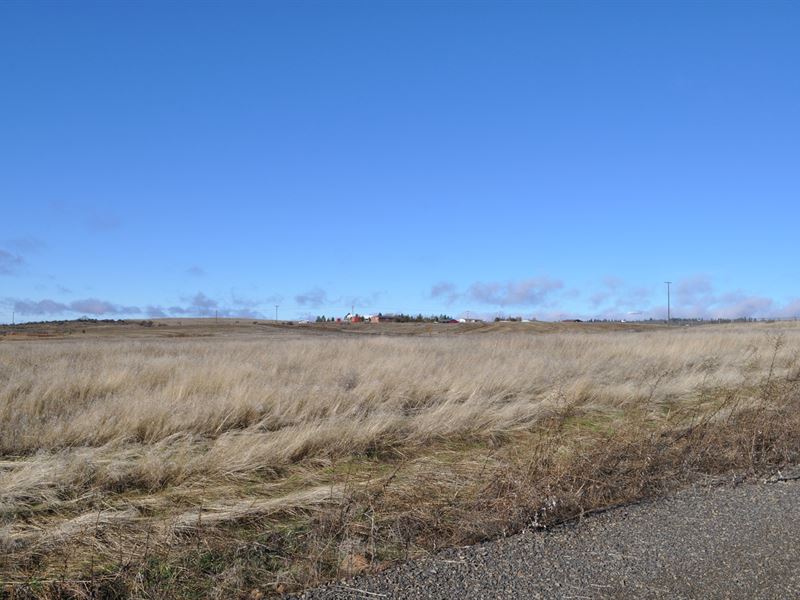 Goldendale WA Land, Minutes From : Goldendale : Klickitat County : Washington