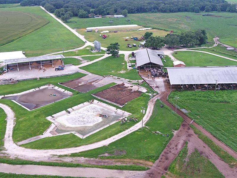 Lafayette Dairy : Mayo : Lafayette County : Florida