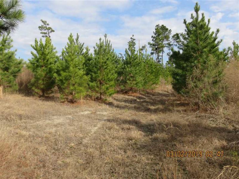 Ebenezer Tract, Union County, Arka : El Dorado : Union County : Arkansas