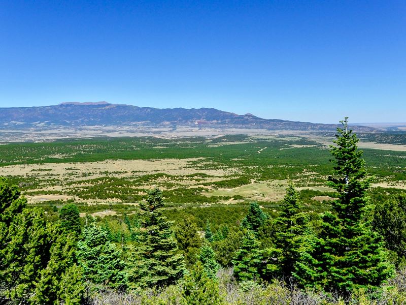 Wooded Lot On Mountain By Blm Land, Farm for Sale by Owner in Colorado