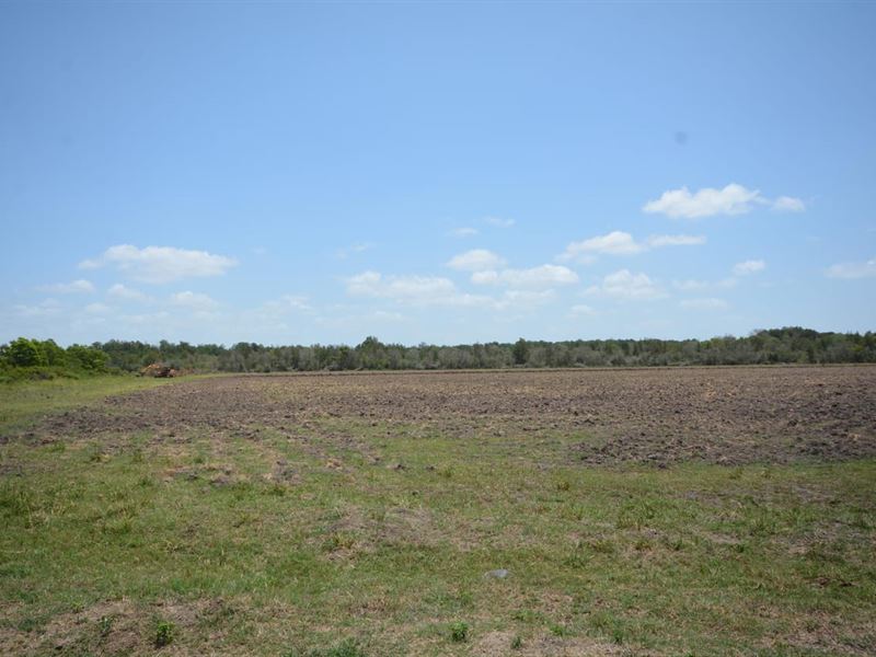 399 Acres of Recreational Property : Liberty : Liberty County : Texas
