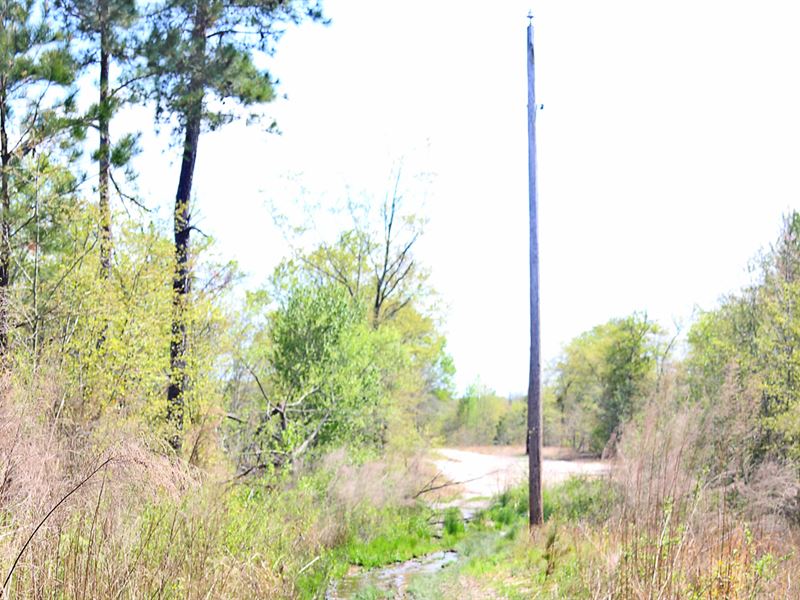 Marlboro CO SC Acreage Farm for Sale in McColl, Marlboro County