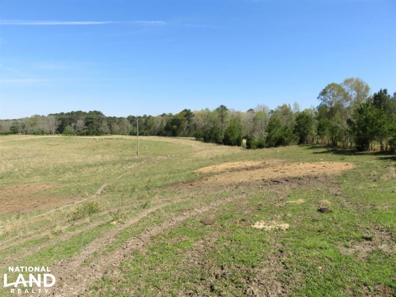 Homesite with Pasture : Star : Rankin County : Mississippi