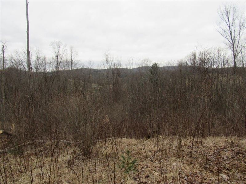 Recreational Land in Dugspur VA, Farm for Sale in Virginia, 189637