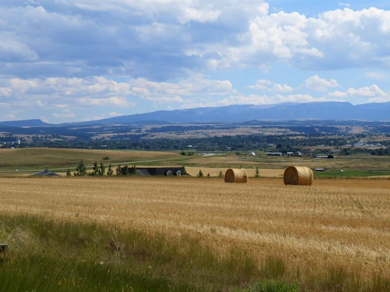 Lewistown Montana Rural Country : Lewistown : Fergus County : Montana