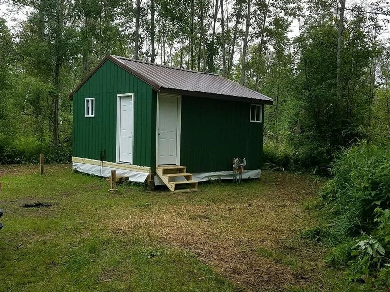 Rustic Cabin 40, Wooded Acres 2 : Ossineke : Alpena County : Michigan