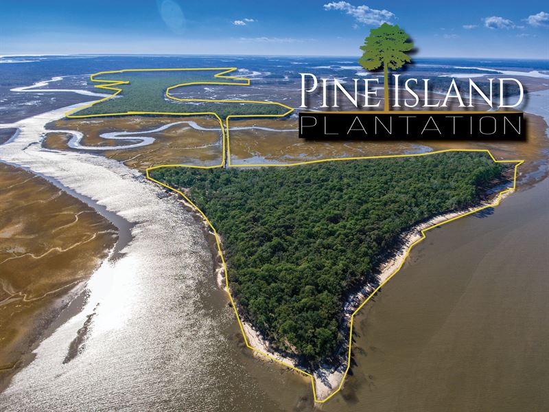 Pine Island Plantation, Farm for Sale in South Carolina, 189826 FARMFLIP