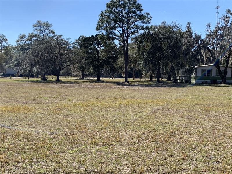 Home & 15+ Acres, Owner Financing : Homosassa Springs : Citrus County : Florida