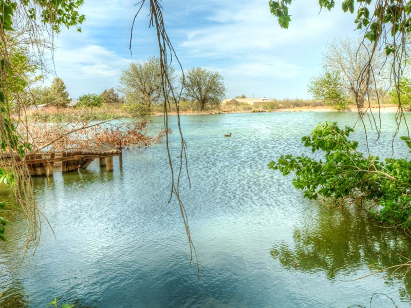 Drip Irrigated Farm, Duck Pond, Hay, Farm for Sale in New Mexico, 190017 FARMFLIP