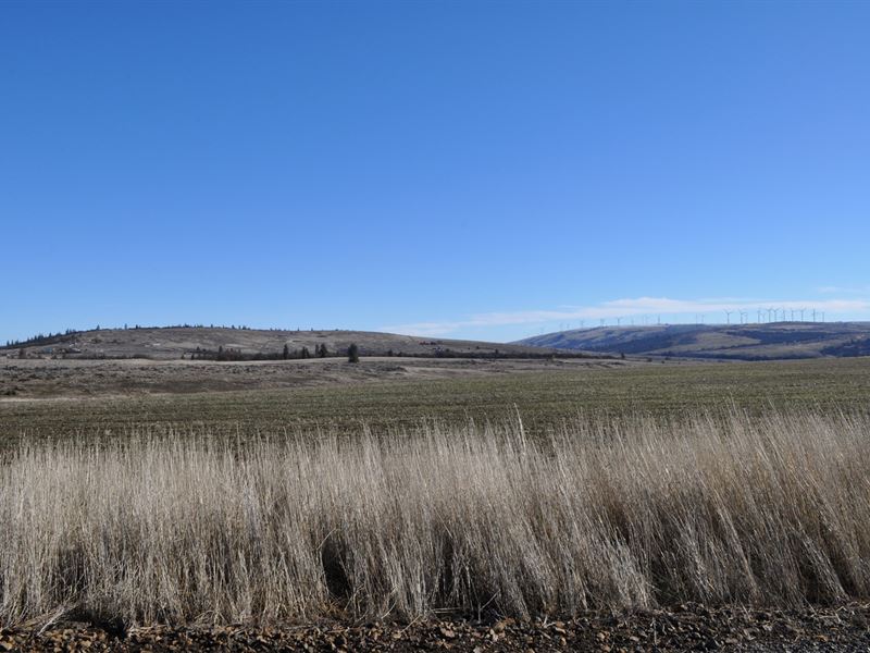 Land Goldendale Washington, White : Goldendale : Klickitat County : Washington