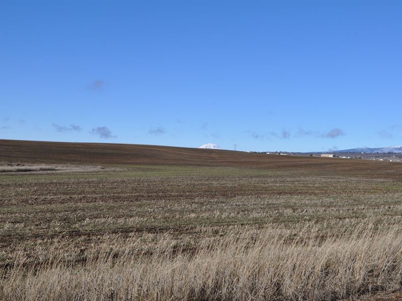 Land Goldendale Washington : Goldendale : Klickitat County : Washington