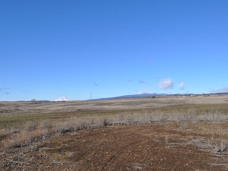 Land Goldendale Washington, White : Goldendale : Klickitat County : Washington