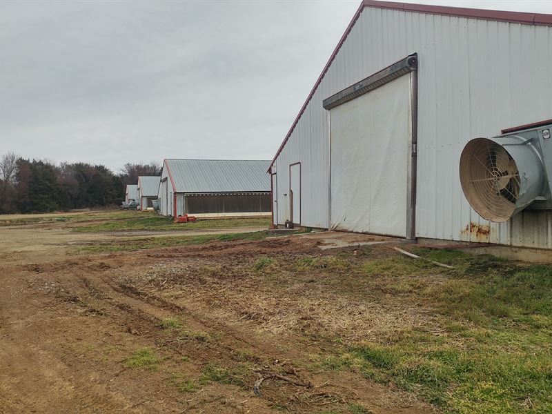 Tyson Contracted 2006 Age Broiler : Magazine : Logan County : Arkansas