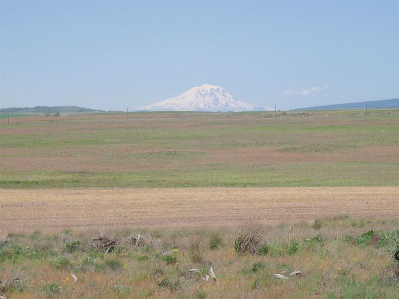 Land Goldendale Washington Farm for Sale in Goldendale, Klickitat