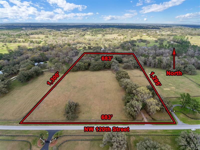 20 Acre Equestrian Farm & Home : Reddick : Marion County : Florida