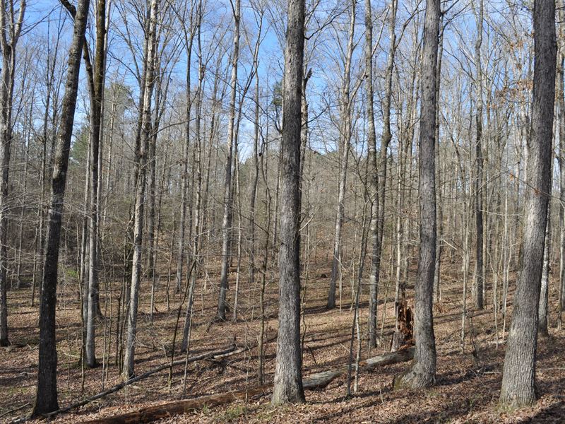 Greshamville Tract A : Greensboro : Greene County : Georgia
