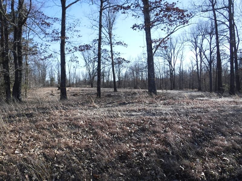 Vacant Land for Sale : Pocahontas : Randolph County : Arkansas