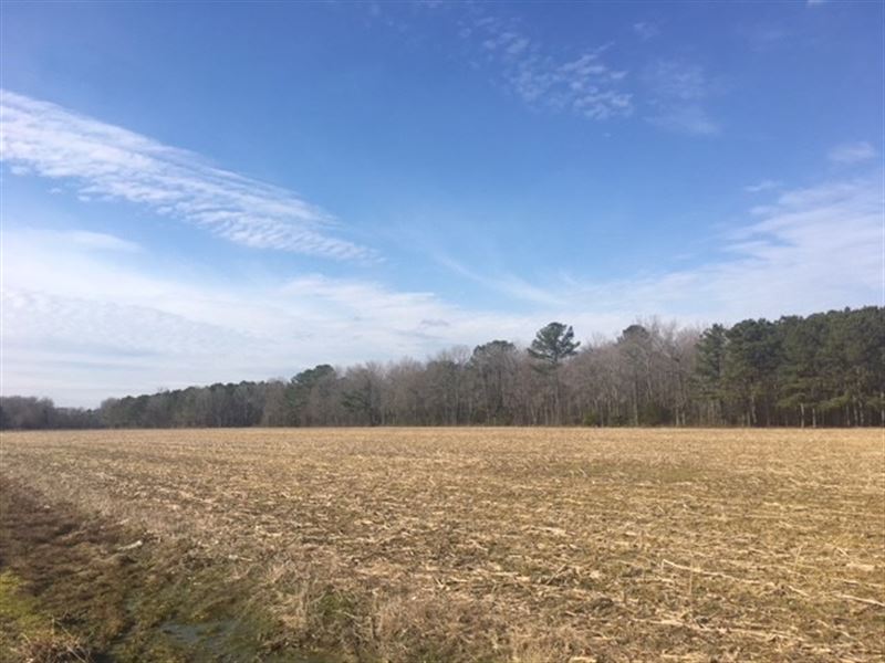 Farm Land Cofield, North Carolina, Farm for Sale in North Carolina