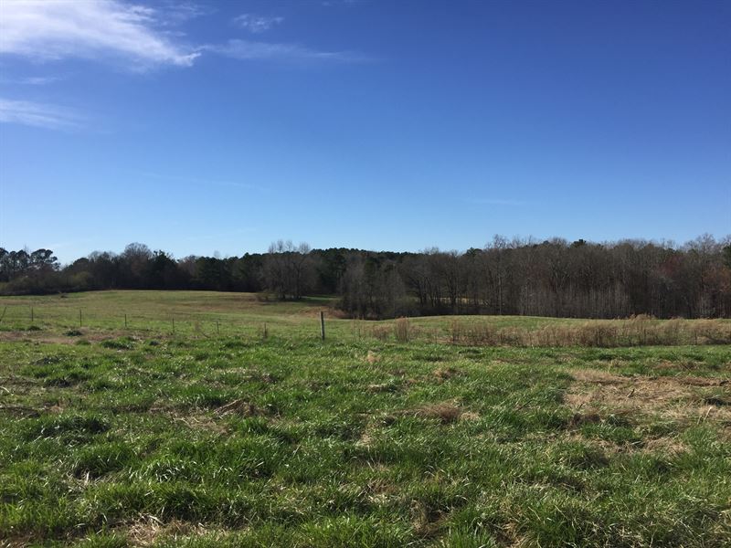 Good Creek Great Lake Site Farm : Comer : Madison County : Georgia