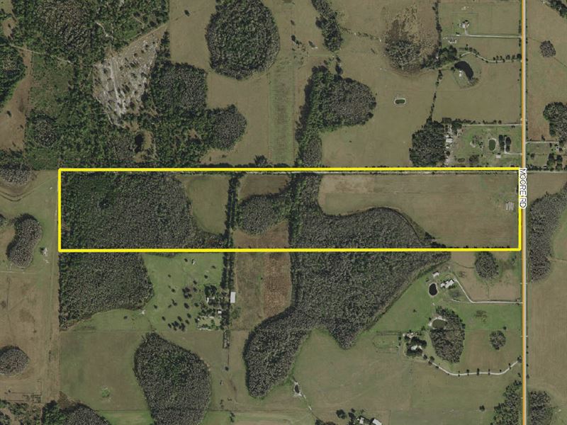 Polk County Acreage Removed Farm for Sale in Lakeland, Polk County, Florida 190444 farmflip