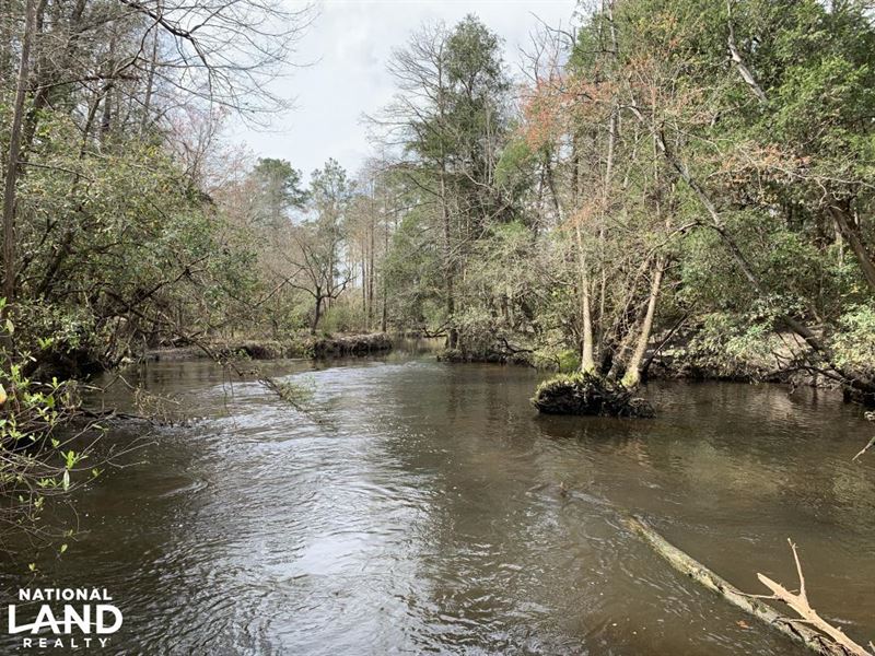 Blackwater River Cabin Hunting & Ti : Elberta : Baldwin County : Alabama