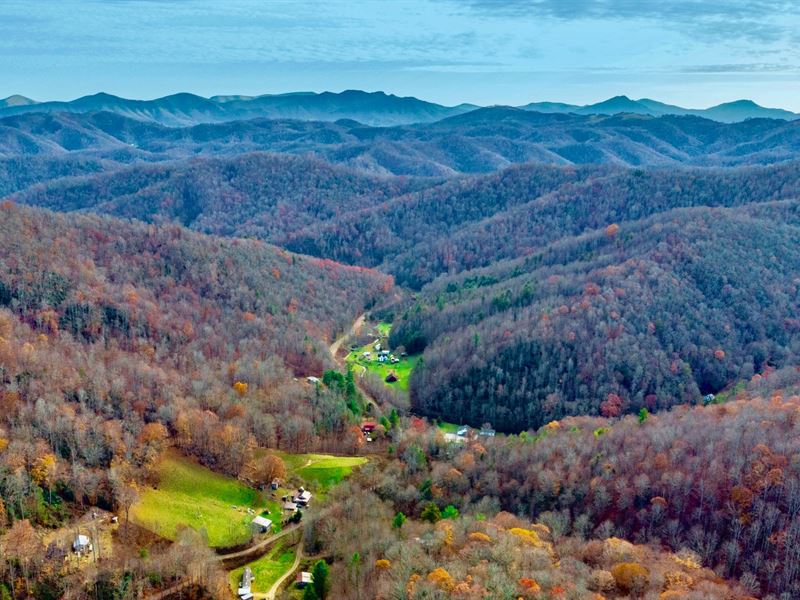 Wooded Acres By Road & Electricity Farm for Sale by Owner in Lansing