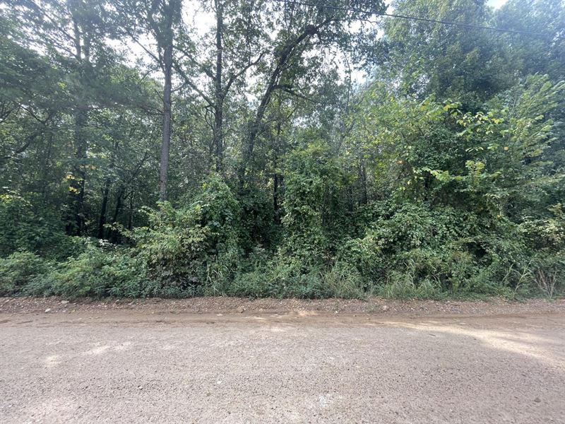 6 Acres, Cave City, Arkansas : Cave City : Sharp County : Arkansas