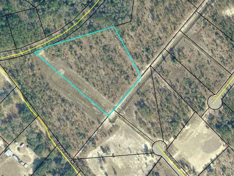 Estate Sized Land Lot Ridgeland, SC Farm for Sale in Ridgeland