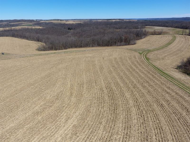 Hunting Property W/Income Potential : Prairie Du Chien : Crawford County : Wisconsin