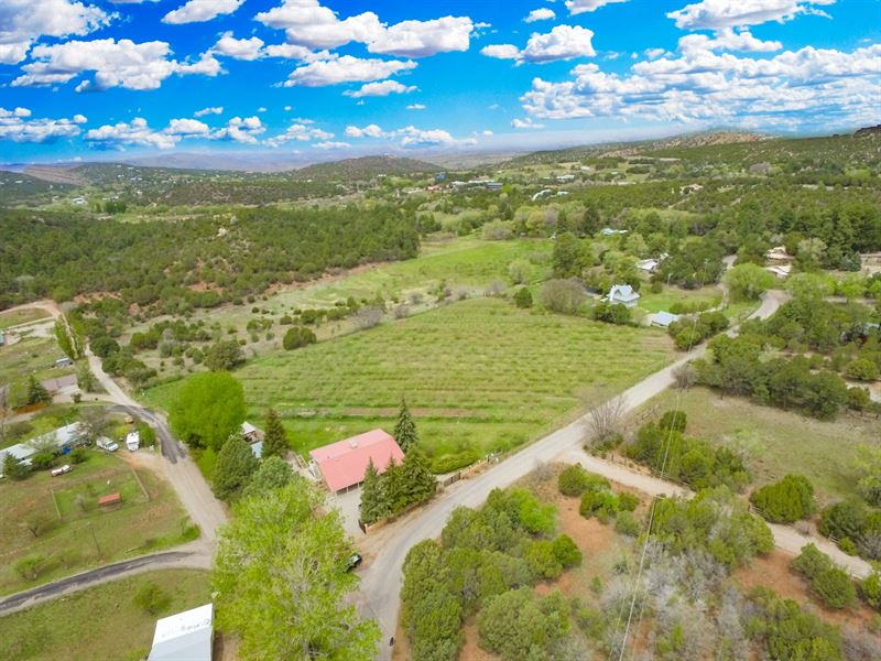 Producing Apple Orchard Southern NM : High Rolls : Otero County : New Mexico