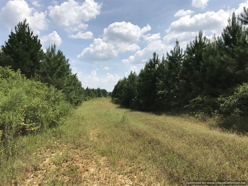 A True Hunting Refuge : Meadville : Franklin County : Mississippi