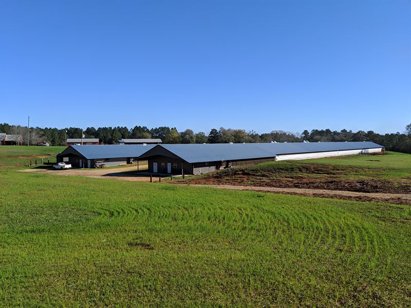 White Oak Farms : Florala : Covington County : Alabama