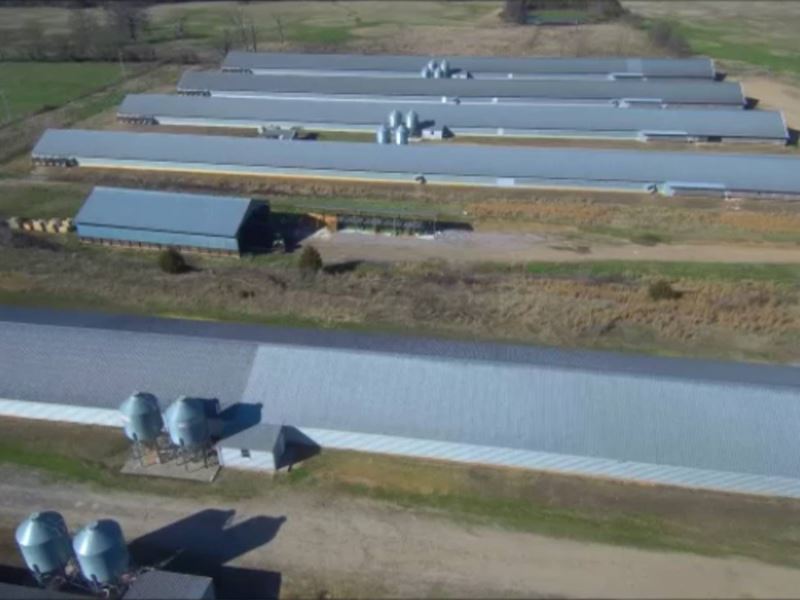 Poultry Farms for Sale in Arkansas : Paris : Franklin County : Arkansas