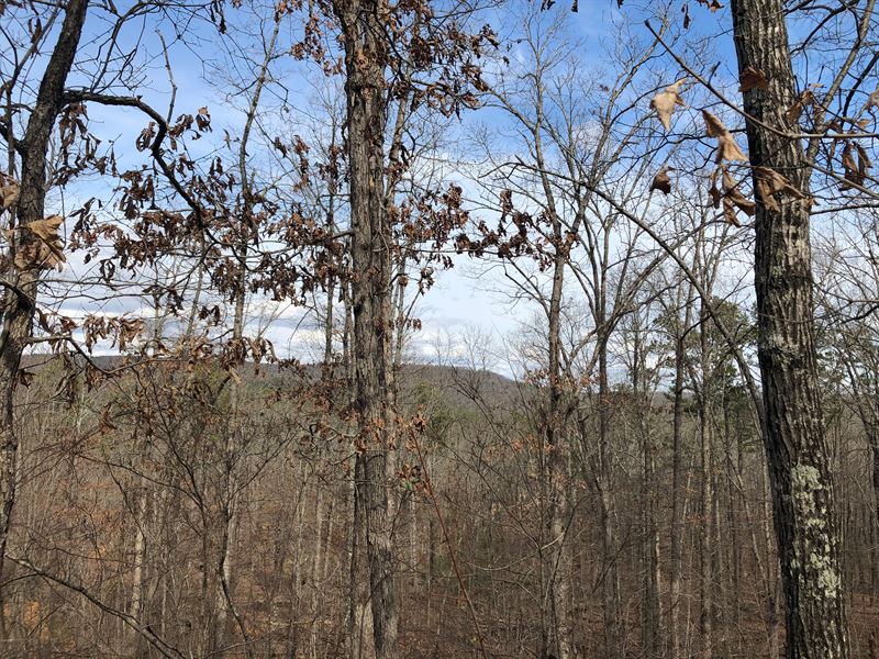 Wooded Acreage with Views : Clinton : Van Buren County : Arkansas