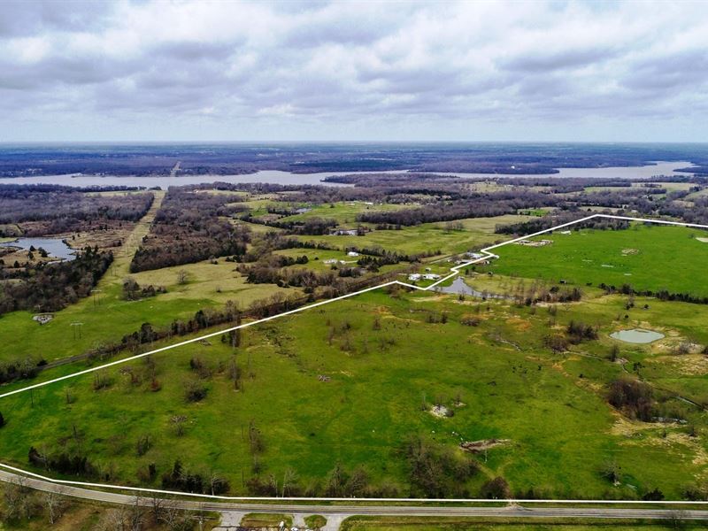 Almost 300 East Texas Acres Yantis, Farm for Sale in Texas, 191559
