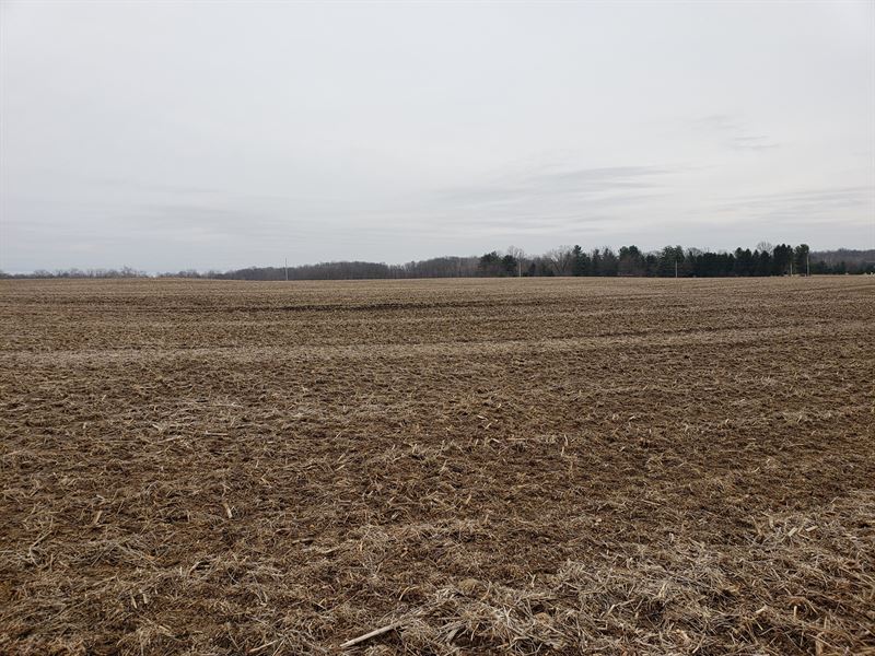 Plantation Road Lot 5 : Sunbury : Delaware County : Ohio