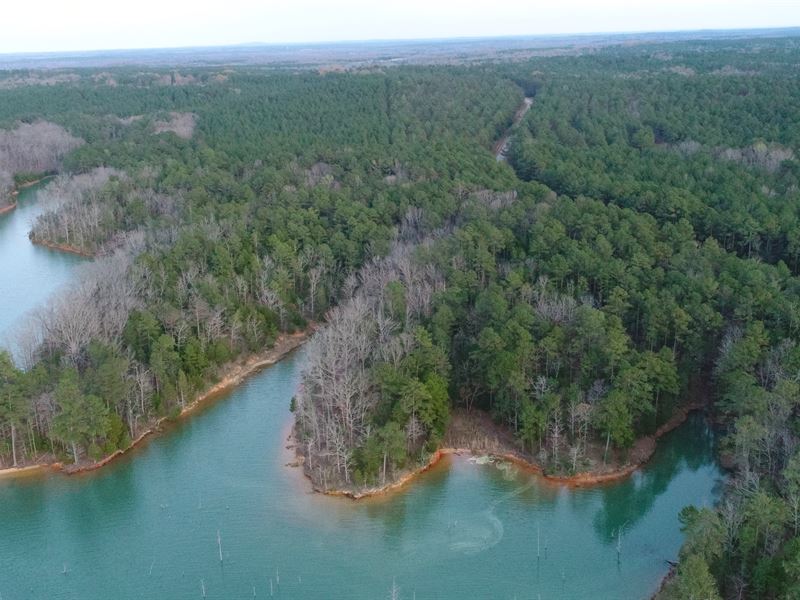 Unrestricted, Wooded, Lake, Farm for Sale in South Carolina, 191597 FARMFLIP