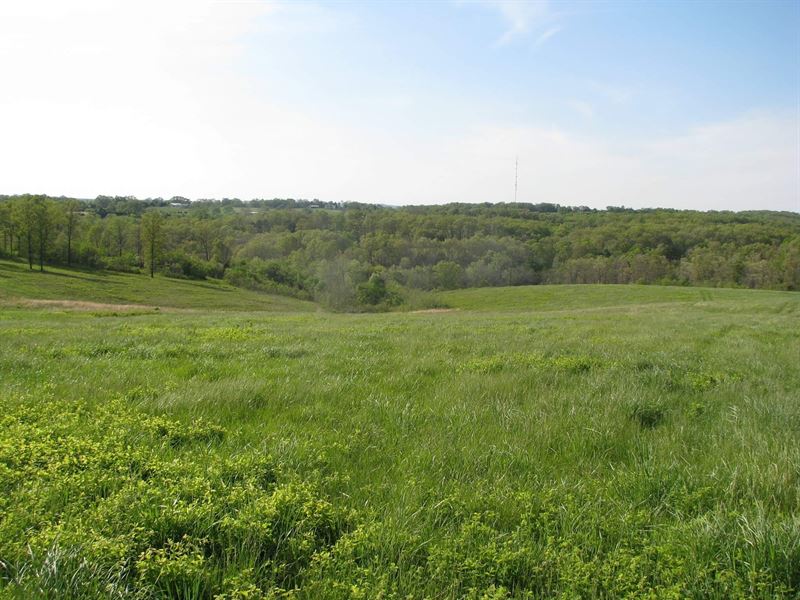 Farm Land for Sale in The Ozarks, Farm for Sale in Missouri, 191612