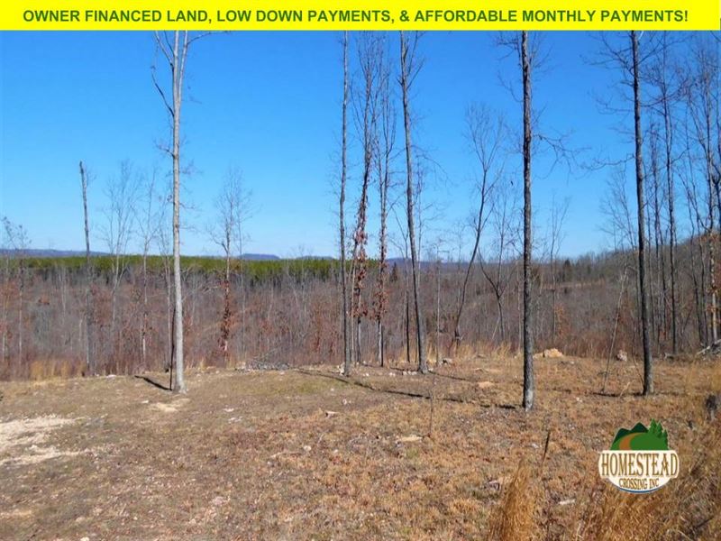 Wonderful Views, Clearing, Creek, Farm for Sale by Owner in Missouri